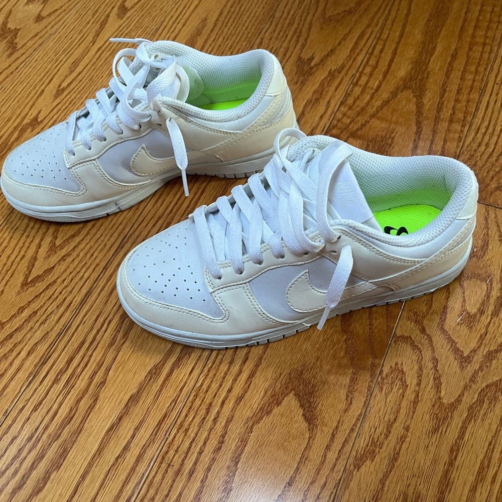 Nike dunk’s women’s 5.5